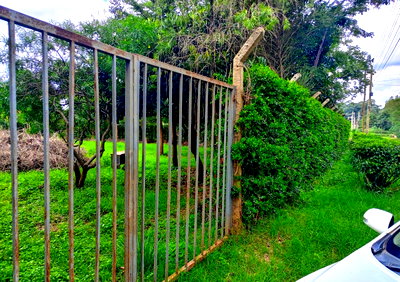 Half Acre Garden Plot with Parking