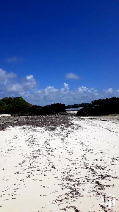 For Sale 5 Acres Beach Land Malindi - Image 3