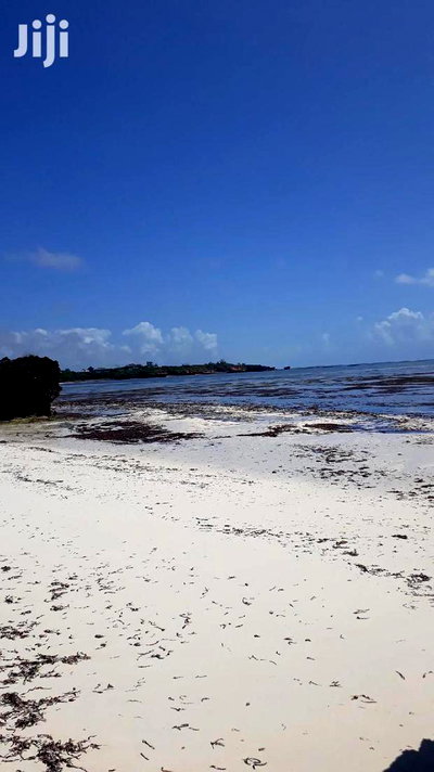 For Sale 5 Acres Beach Land Malindi - Image 4