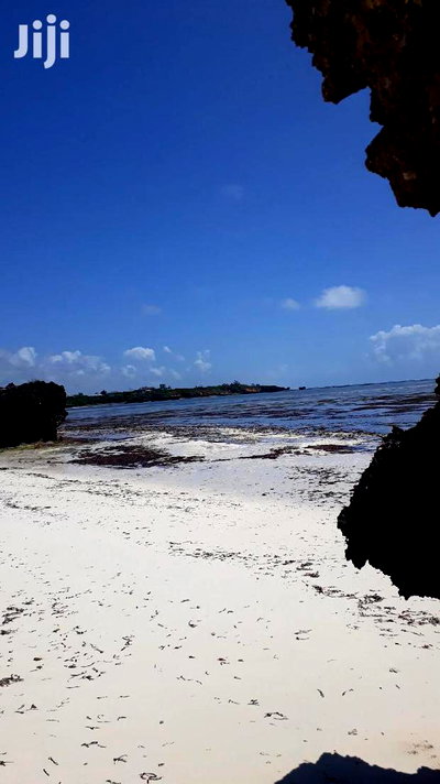 For Sale 5 Acres Beach Land Malindi - Image 2