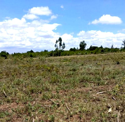 3.5-Acre Plot Near Ol Pejeta Conservancy