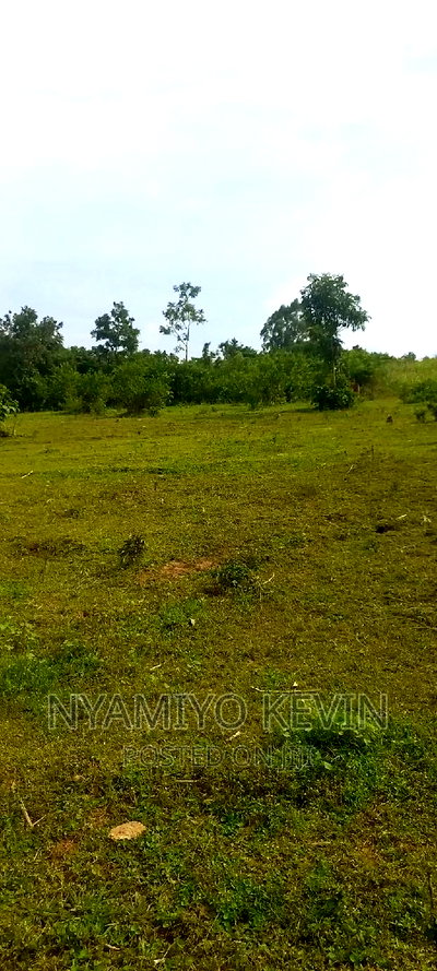 Sega Ugambe - Image 3