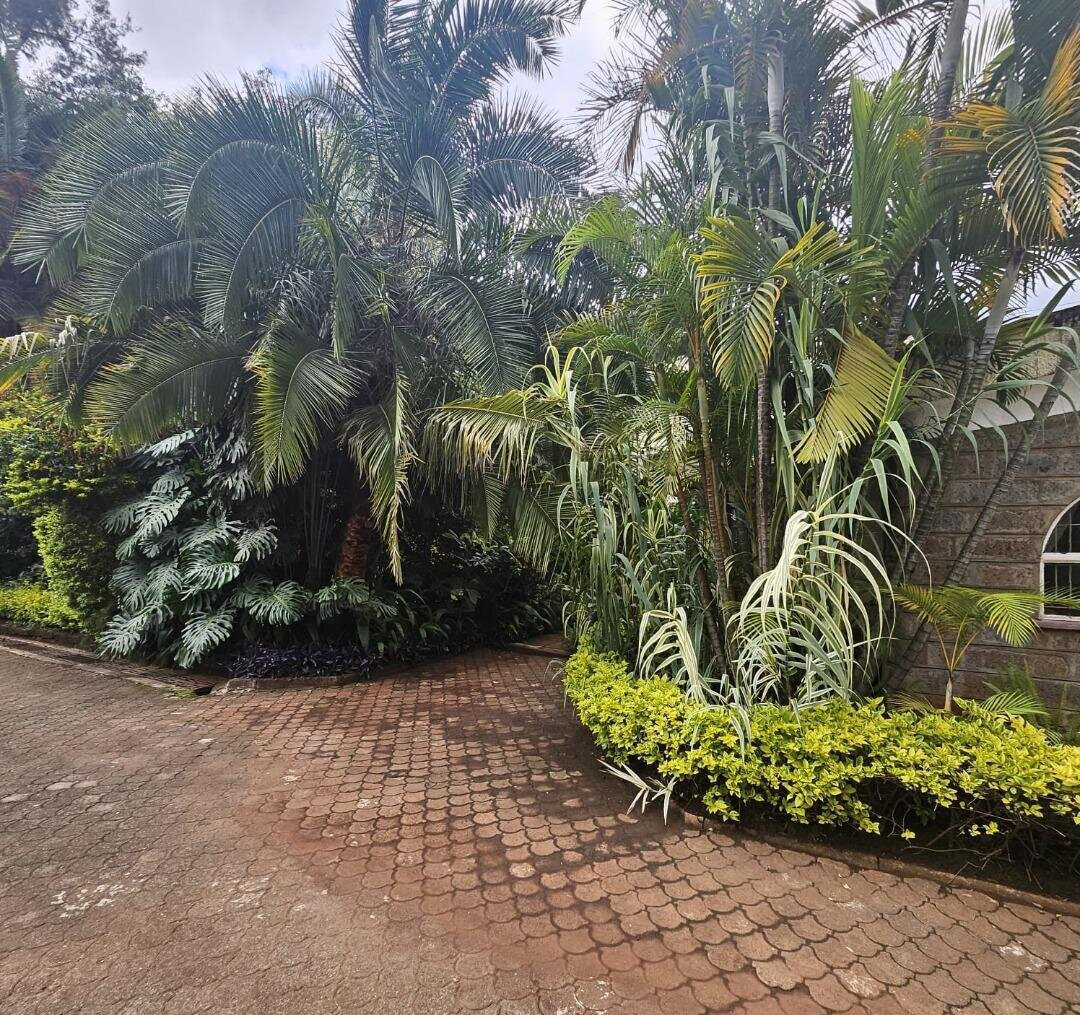 46-Acre Commercial Land in Westlands
