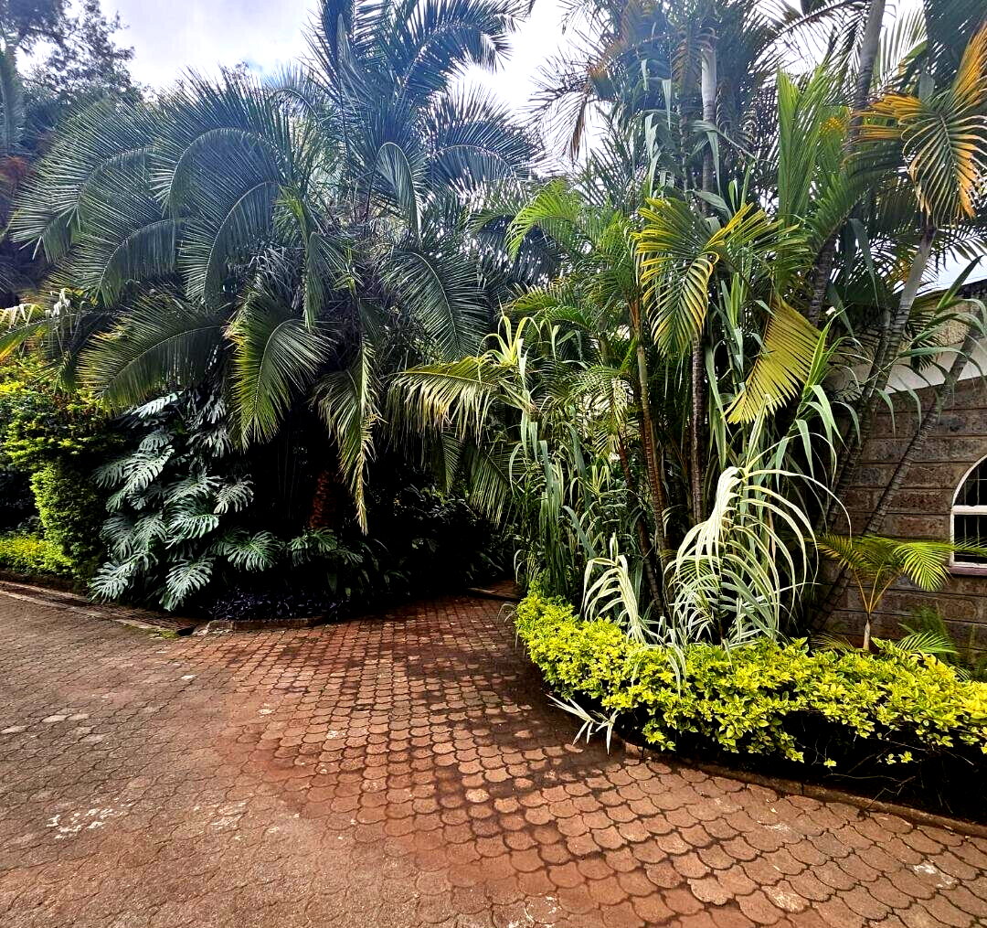 46-Acre Commercial Land in Westlands