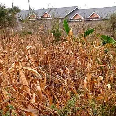 Ngoliba Thika 40 by 80 Plot 1.6m - Image 2