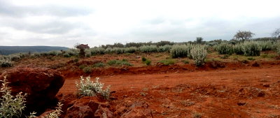 Garden Plot with Parking at KSh 750K