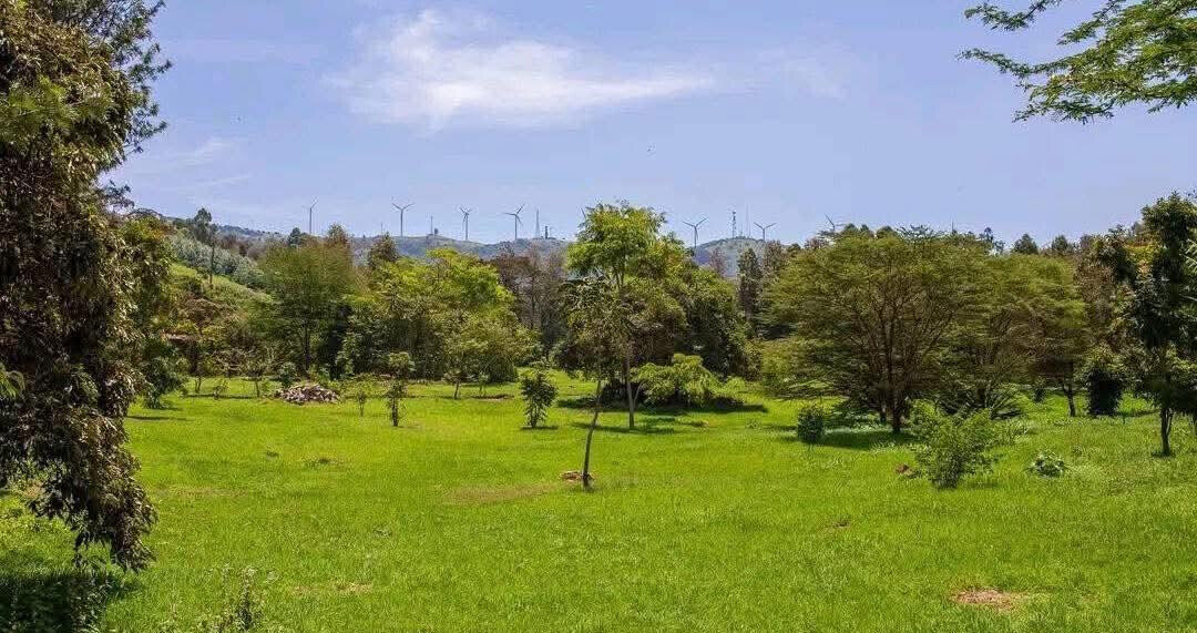 0.4 Acre Plot with Parking - Ngong