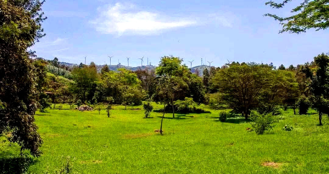 0.4 Acre Plot with Parking - Ngong