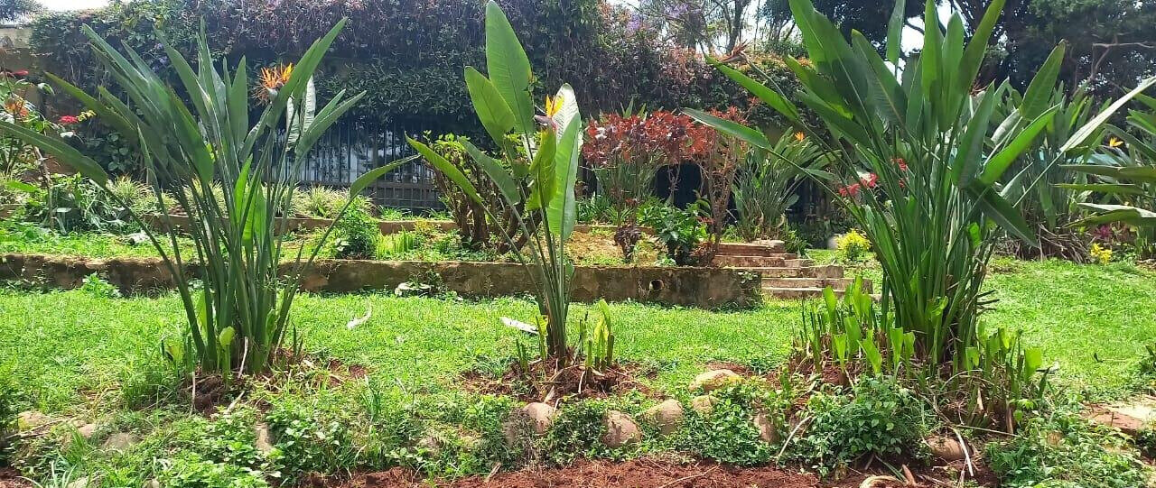 1.5-Acre Lavington Plot with Garden