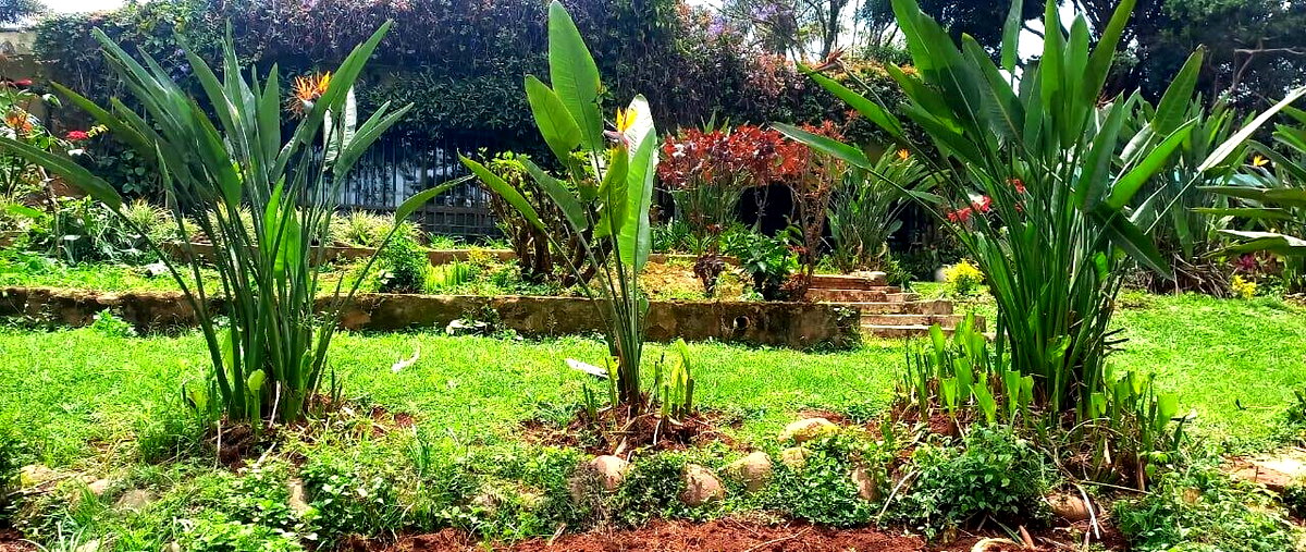 1.5-Acre Lavington Plot with Garden