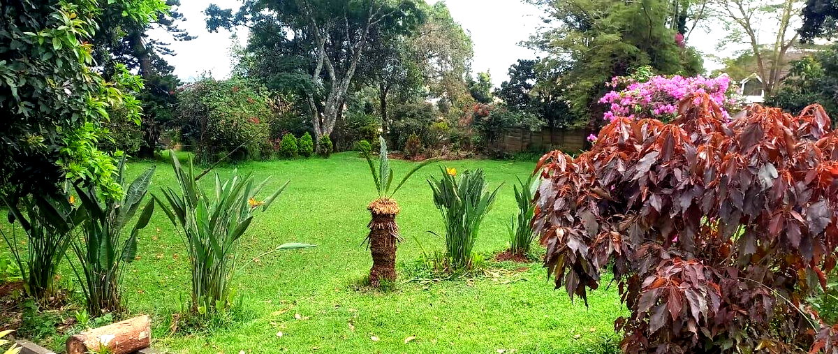 1.5-Acre Lavington Plot with Garden