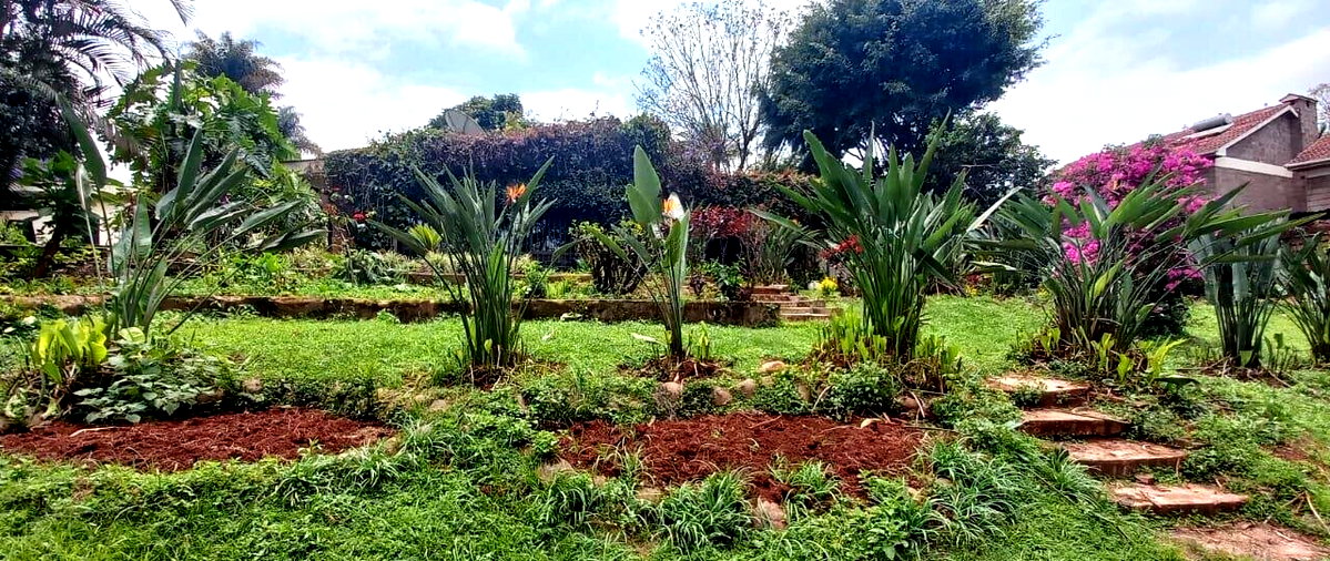 1.5-Acre Lavington Plot with Garden