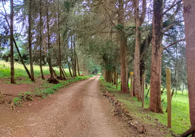Garden Land with Parking for KSh 30M