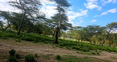 2-Acre Plot Near Lake Elementaita for KSh 5M