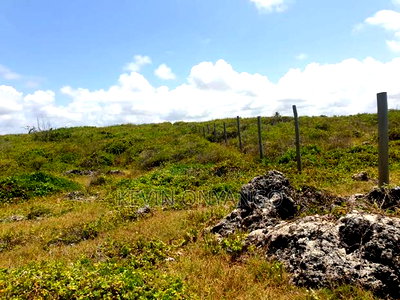 15 Acres Beach Front Plot for Sale in Watamu - Image 5