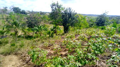 Quarter Acre Mariman - Image 2