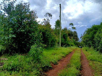 Distress! Prime Redsoil 50 by 100 Plot in Upper Matasia - Image 1