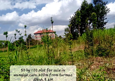 Garden Plot with Parking for KSh 3.5M