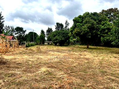 Sagana 1.1acre for Sale - Image 5