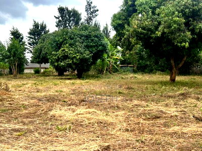 Sagana 1.1acre for Sale - Image 9
