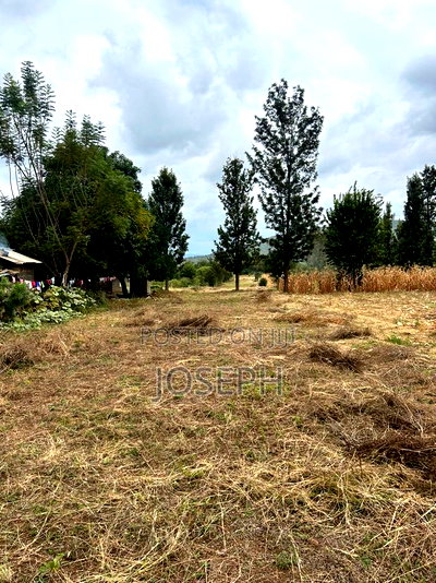 Sagana 1.1acre for Sale - Image 3