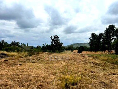 Sagana 1.1acre for Sale - Image 2