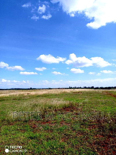 Prime Land on Sale, 100acres - Image 5