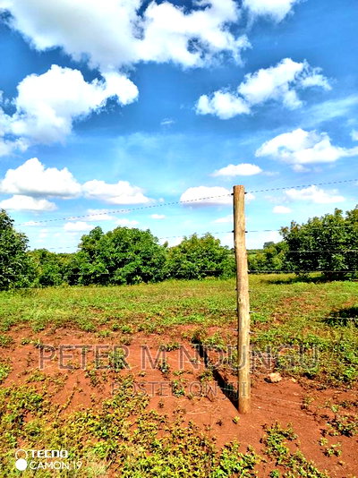 Prime Land on Sale, 100acres - Image 6