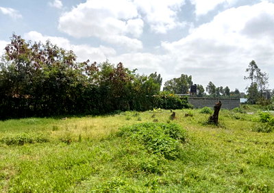 KSh 17.5M Kamakis Plot