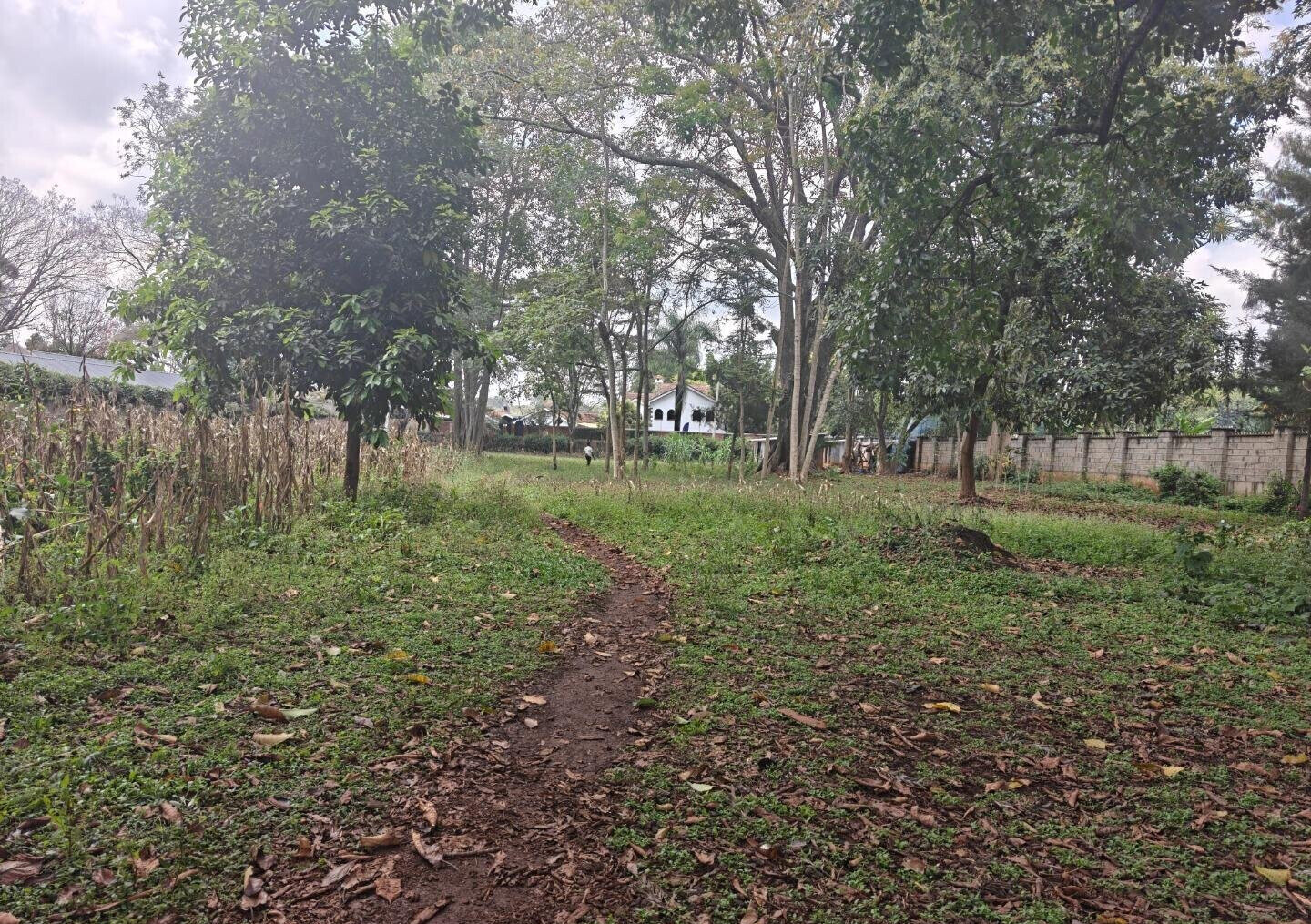1-Acre Garden Plot with Parking at KSh 210M
