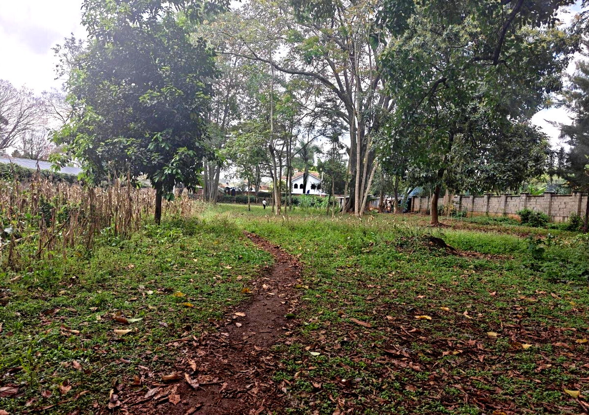 1-Acre Garden Plot with Parking at KSh 210M