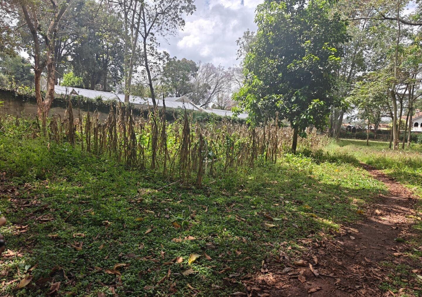 1-Acre Garden Plot with Parking at KSh 210M