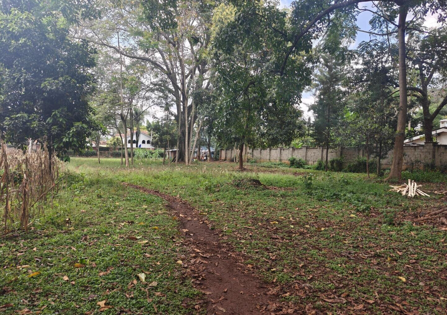 1-Acre Garden Plot with Parking at KSh 210M