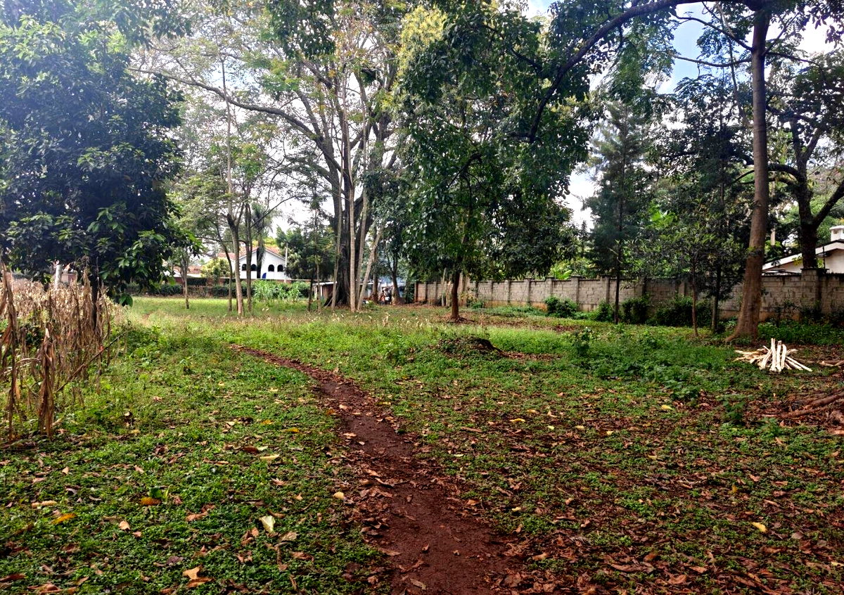 1-Acre Garden Plot with Parking at KSh 210M