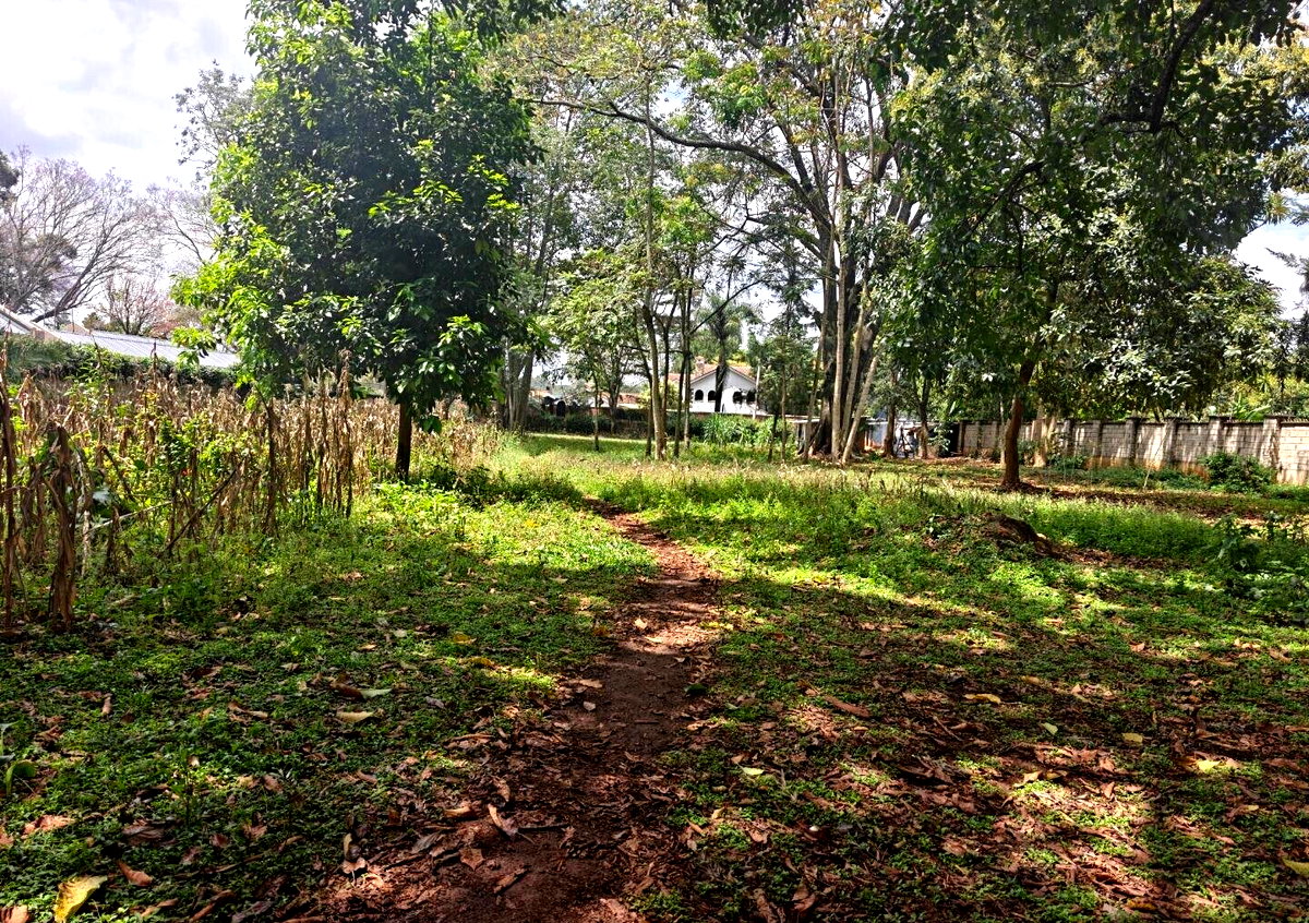 1-Acre Garden Plot with Parking at KSh 210M