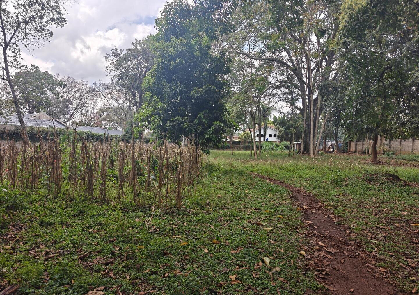 1-Acre Garden Plot with Parking at KSh 210M