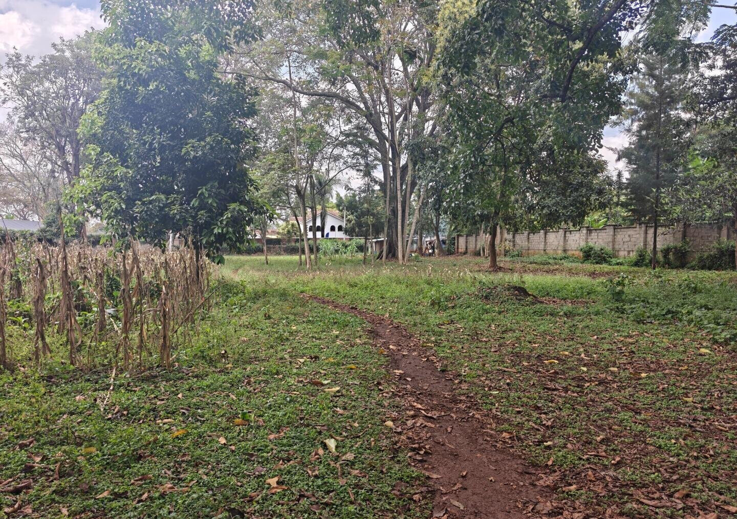1-Acre Garden Plot with Parking at KSh 210M