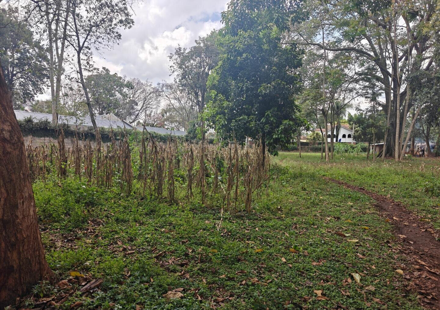 1-Acre Garden Plot with Parking at KSh 210M