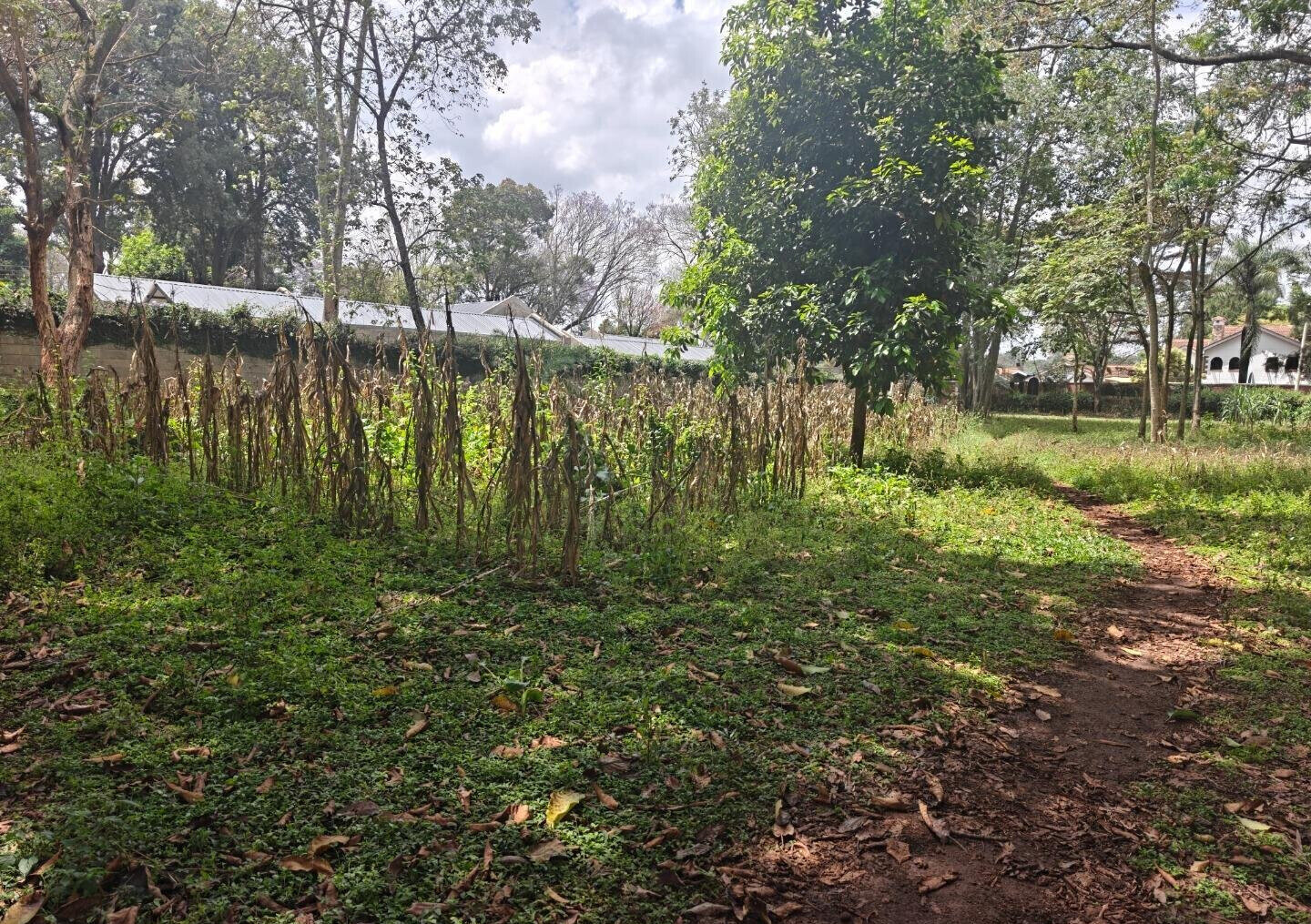 1-Acre Garden Plot with Parking at KSh 210M