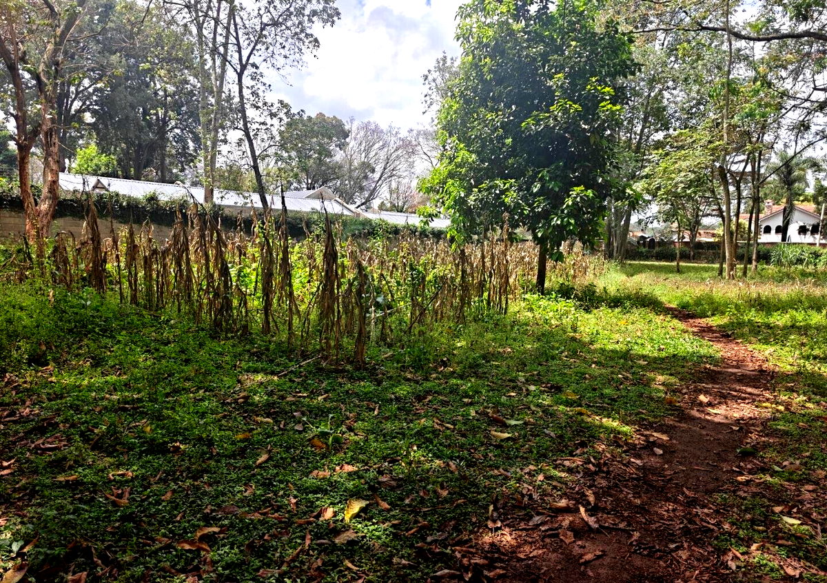1-Acre Garden Plot with Parking at KSh 210M