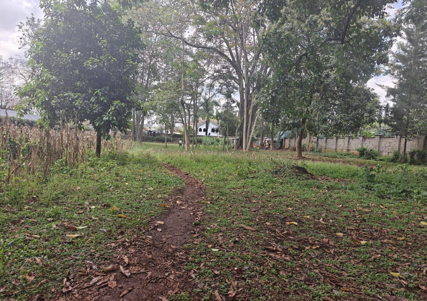 1-Acre Garden Plot with Parking at KSh 210M