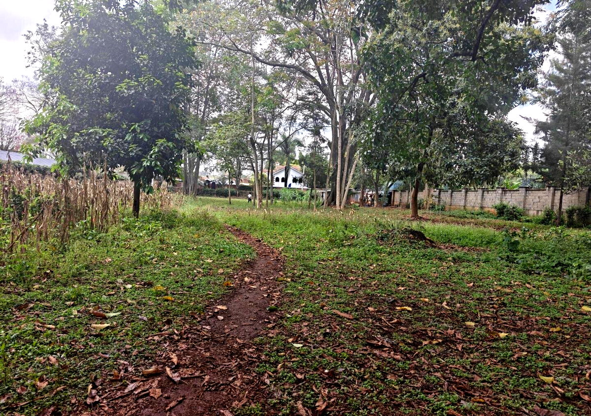 1-Acre Garden Plot with Parking at KSh 210M