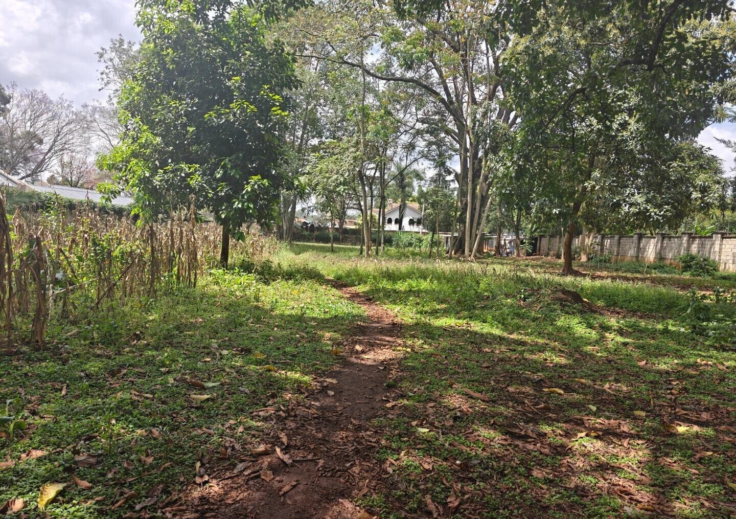 1-Acre Garden Plot with Parking at KSh 210M