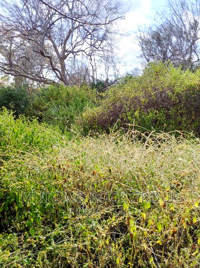 10,000 Acres for Sale - Image 1