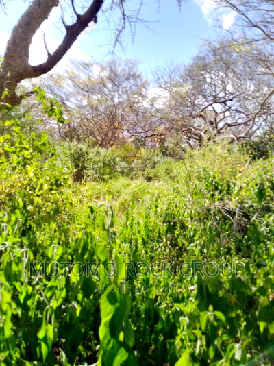 10,000 Acres for Sale - Image 3