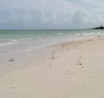 6.5-Acre Beachfront Land with Garden