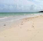 6.5-Acre Beachfront Land with Garden