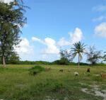 6.5-Acre Beachfront Land with Garden