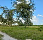 6.5-Acre Beachfront Land with Garden