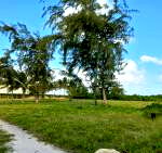 6.5-Acre Beachfront Land with Garden